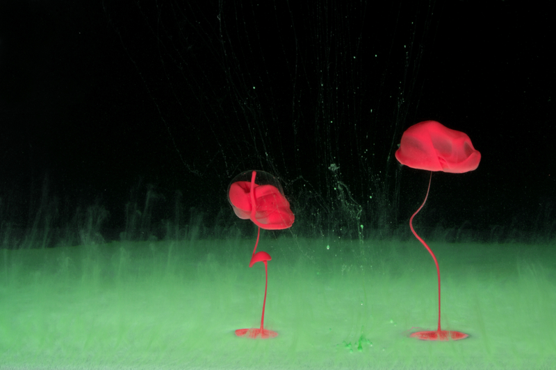 Illustration for article titled El curioso arte de fotografiar líquidos de colores